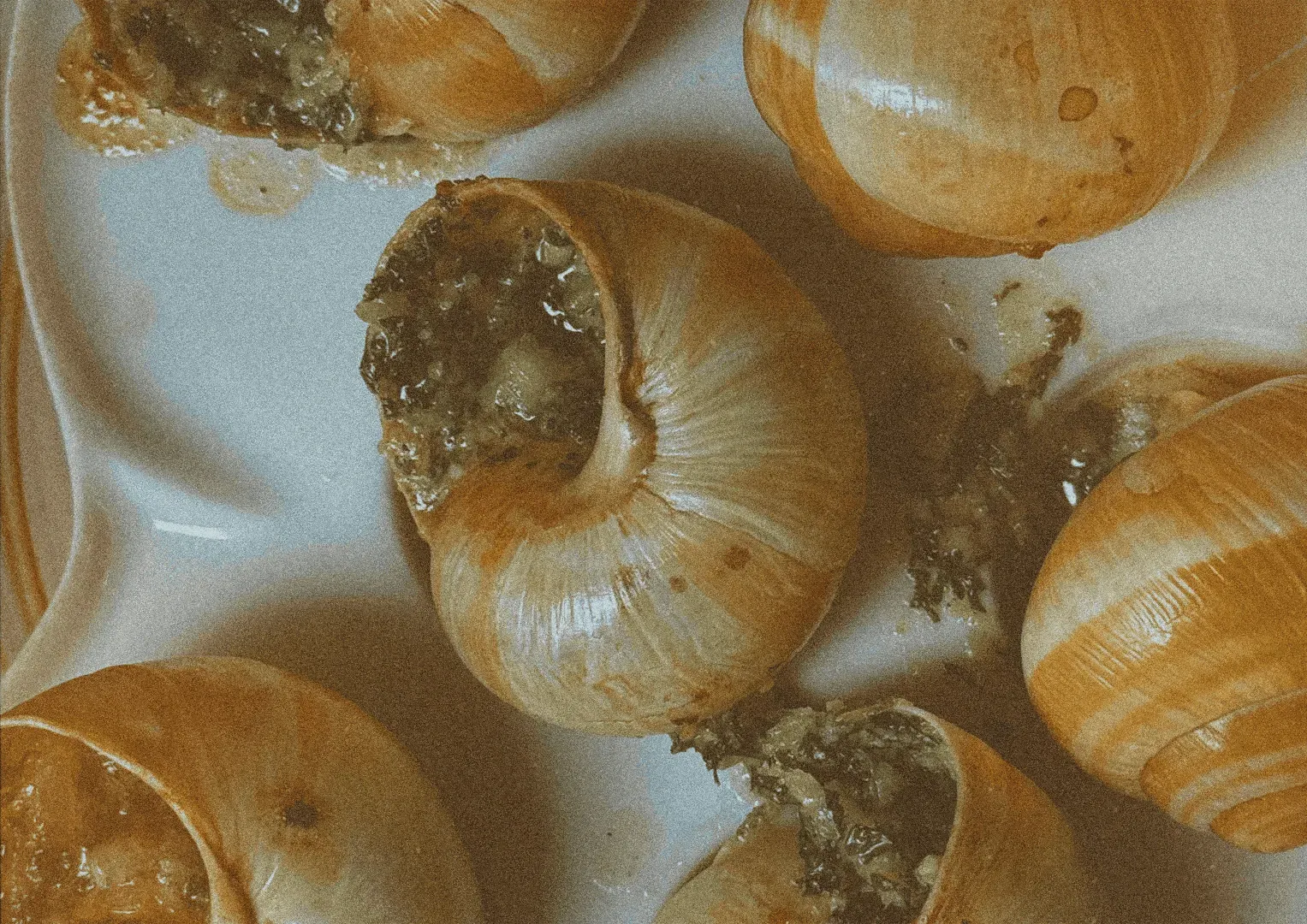 escargots